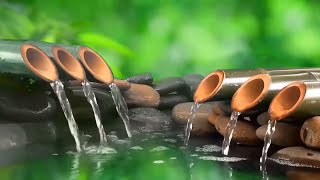 28 hours Bamboo Water Fountain Relaxing Music Zen Music Meditation Music Study Flowing Stream [upl. by Adamec]