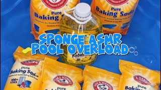 POOL OVERLOAD  BAKING SODA  LIVE RECAP [upl. by Ordway]