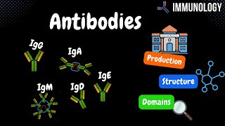 Antibodies Origin Components Domains IgG IgM IgA IgD IgE TABLE  Immunology [upl. by Anniken998]