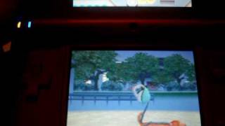 Nintendogs Good Walk part 2 [upl. by Dusen]