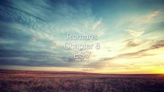 Romans  Chapter 8 ESV [upl. by Ulrika294]