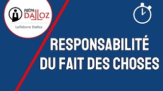 Responsabilité du Fait des Choses  Responsabilité Civile [upl. by Barcus509]