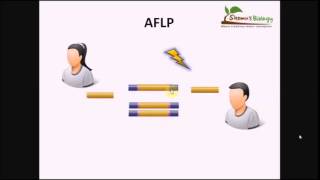 أساسيات الهندسة الوراثية تكنيك الـ AFLP [upl. by Turley]