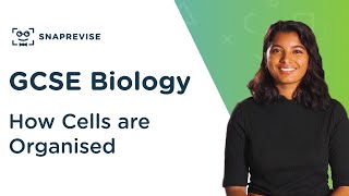 How Cells are Organised  91 GCSE Science Biology  OCR AQA Edexcel [upl. by Naliorf]