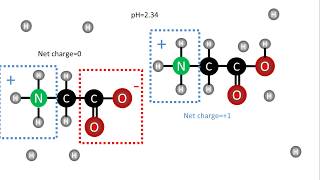 Biochemistry  pKa of amino acids [upl. by Acinoryt]