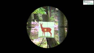 March Tactical 2525x42 Reticle MTR3 subtensions [upl. by Yrrol]