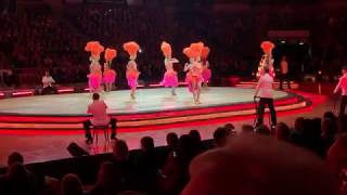 Strictly Come Dancing Tour  Latin Medley Group Dance  Sheffield 30th January 2019 [upl. by Michaeu193]