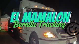 Mi trabajo en Mexico  Bernita Trucking [upl. by Enrobyalc]