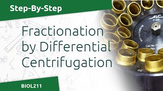 BIOL211  Differential Centrifugation Lab [upl. by Renrew132]