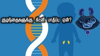 Why Kidney Impairment in Children  குழந்தைகளுக்கு கிட்னி பாதிப்பு ஏன்  kutty Health [upl. by Deyas]