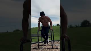 Outdoor Calisthenics Workout [upl. by Barfuss]