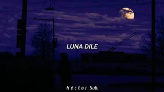 Luna dile que la amo  Nigga [upl. by Gnuhp]