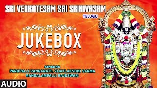 Sri Venkatesam Sri Srinivasam  Lord Venkateshwara Songs  Telugu Devotional Songs [upl. by Kalikow825]