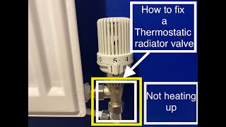 How to fix a radiator not heating up or getting hot and replace a thermostatic radiator valve head [upl. by Novart294]