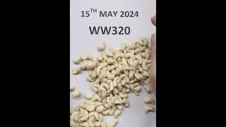 Vietnam cashew nut Top exporter whatsapp 0084 907886929 [upl. by Ylebmik]