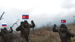 Ukrainian FPV drones brutally destroy North Korean and russian Soldiers [upl. by Naasar995]