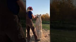 Watch a Chainsaw Artist Transform a Log Into a Black Bear Sculpture  Timelapse woodworking short [upl. by Tudor369]