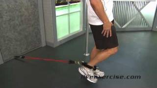 HOW TO DO Leg Extension Exercises with Resistance Bands [upl. by Renaxela150]