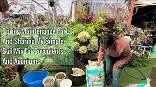 Spring Maintenance And Sharing My Soil Mix [upl. by Teerpnam]