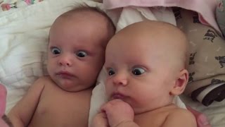 10 Beste Morsomme Baby Videoer 2015 [upl. by Quince554]