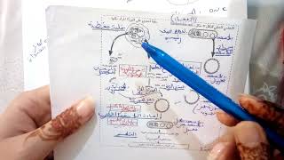 partie 1 SVT الهندسة الوراتية   preparations des concours [upl. by Ocirnor991]