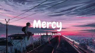 Shawn Mendes  Mercy Lyrics [upl. by Cheryl]