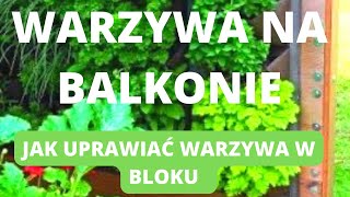 Warzywa na balkonie Jak uprawiać warzywa w bloku [upl. by Nicks]