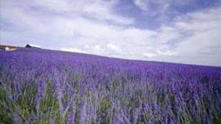 Tricarico  Lavanda [upl. by Lyle]