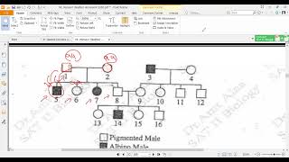 Chapter 6 Mendelian genetics karyotype amp pedgree [upl. by Feinberg]