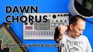 Dawn Chorus  Thom Yorke Korg Volca Sample 2 Cover [upl. by Past]