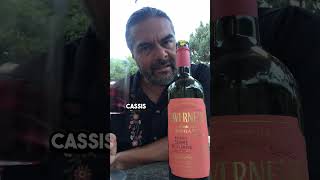 Tavernello Organic Red Blend Wine Review [upl. by Kcinnay961]