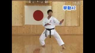 Bassai Dai JKA Shotokan Karate KarateZine [upl. by Trescott]