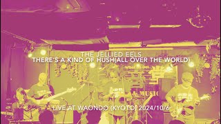 quotTheres A Kind Of HushAll Over the Worldquot The Hermans Hermits cover by The Jellied Eels [upl. by Ailema]