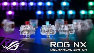 ROG NX Mechanical Switch  ROG [upl. by Dugald635]