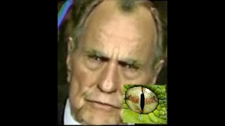 Reptilians are DEMONS 2019  Reptilians caught on tape 2019 [upl. by Cadmarr]