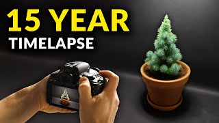 I Filmed Plants For 15 years  Timelapse Compilation [upl. by Seda715]