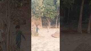 pind da maholvillagelifepindshortvideooldvillageyoutubeshortcuteanimal viralvideo [upl. by Eillit307]