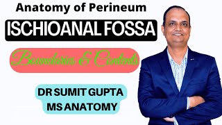 ISCHIOANAL FOSSA  Anatomy [upl. by Newman]