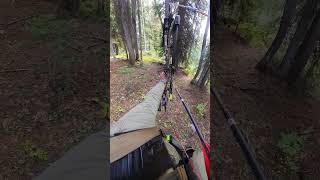 Trophy grouse down archery bowhunting elkhunting [upl. by Terryl]