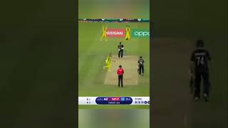 27 wicket 2019 Michel starc bowling action yorker deliveries indiancricketer indiancricketteam [upl. by Grenier]