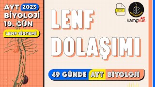 19 Lenf Dolaşımı  Dolaşım Sistemi 11 Sınıf Biyoloji  YKS 2023  AYT Biyoloji Kampı 19 Gün [upl. by Minnaminnie]