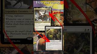 Shalai and Hallar EDH  Infinite Lifelink Burn magicthegathering commander edh shorts [upl. by Deibel347]