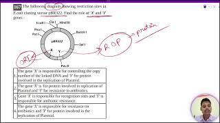 The following diagram showing restriction sites inEcoli cloning vector pBR322 Find the role [upl. by Kincaid495]