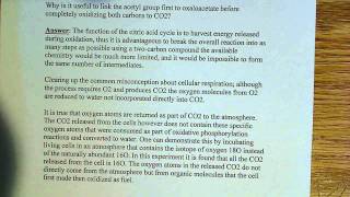 Why is the acetyl group attached to oxaloacetate [upl. by Ellery]