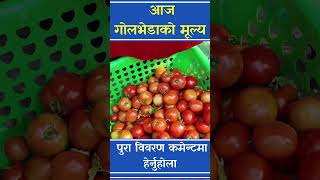 Vegetable and fruits rate today  हेर्नुहोस् आजको माछाफलफूल तथा तरकारीको मूल्य  KALIMATITARKARI [upl. by Norted178]