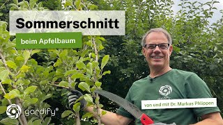 Sommerschnitt beim Apfelbaum Obstbäume durch Schnitt klein halten 4 wichtige Tipps [upl. by Devonna702]