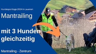 Hundesporttage 2024 in Lauenen Mantrailing mit mehreren Hunden gleichzeitig [upl. by Tarrsus]