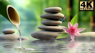 Heals and Repairs Nerve Damage • Relaxing Music Bamboo Fountain  SAKEERA LOPER [upl. by Adnav]