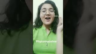 Phycomycetes 💚botany mnemonic neet tricks neetpreparation [upl. by Jean]