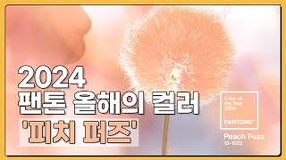 ENG SUB 2024 팬톤 올해의 컬러 피치 퍼즈 PANTONE 131023 Peach Fuzz  Pantone Color of the Year 2024 [upl. by Yole]